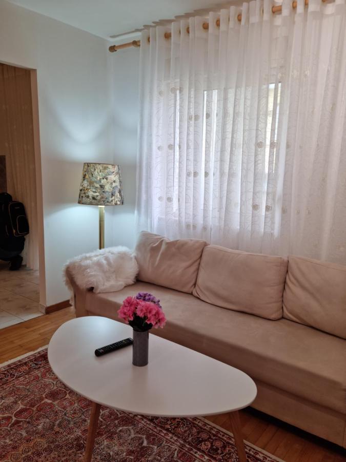 New Lovely Full Of Light Ap In Tirana Esterno foto